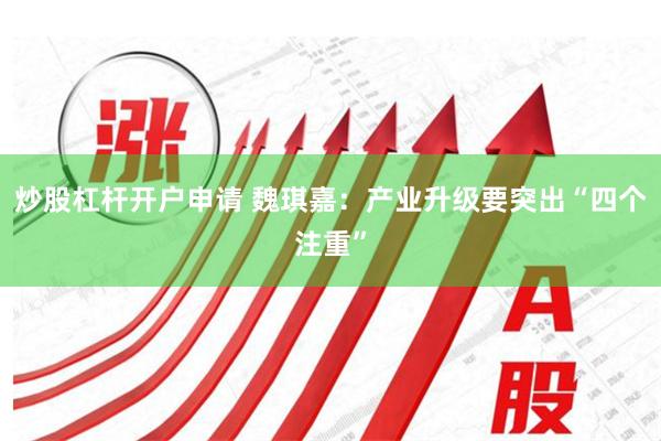 炒股杠杆开户申请 魏琪嘉：产业升级要突出“四个注重”