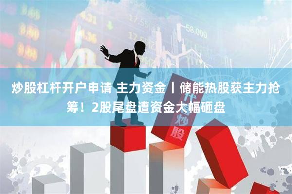炒股杠杆开户申请 主力资金丨储能热股获主力抢筹！2股尾盘遭资金大幅砸盘