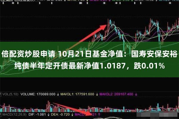 倍配资炒股申请 10月21日基金净值：国寿安保安裕纯债半年定开债最新净值1.0187，跌0.01%