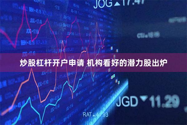 炒股杠杆开户申请 机构看好的潜力股出炉