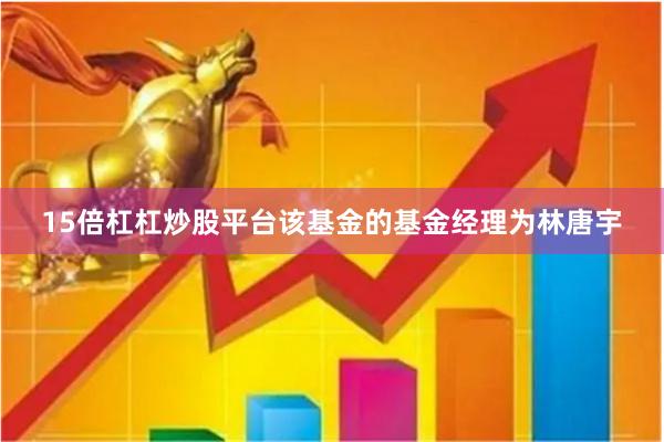 15倍杠杠炒股平台该基金的基金经理为林唐宇
